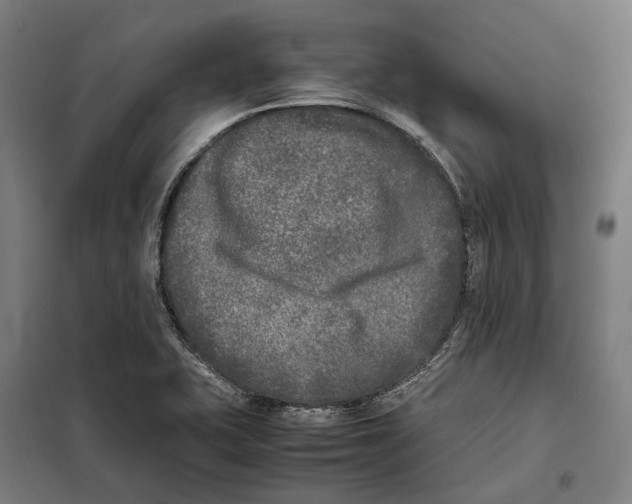 X0000101221415200807251101