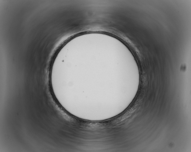 X0000101221416200807251101