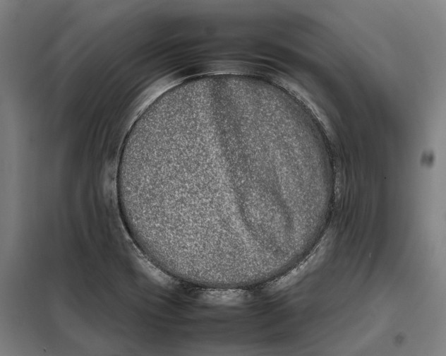 X0000101221417200807251101