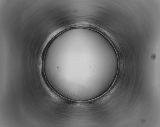 X0000101221418200807251101