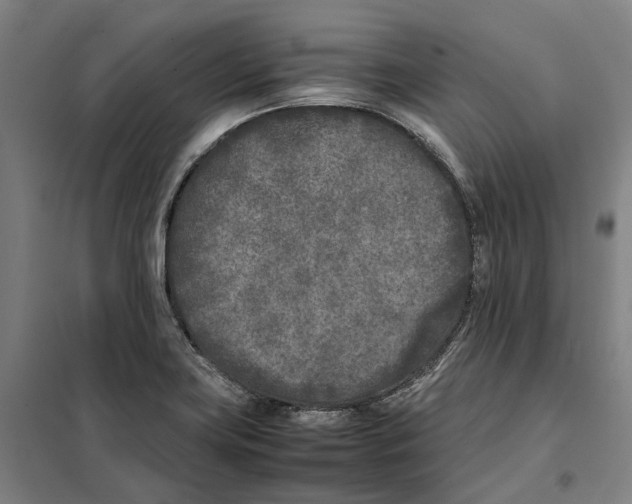 X0000101221419200807251101