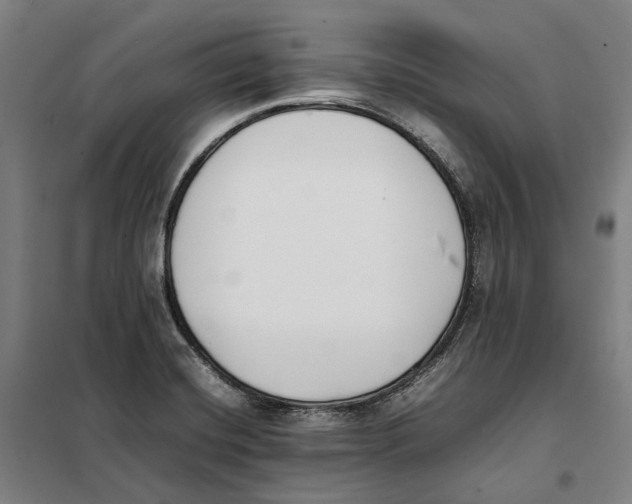 X0000101221420200807251101