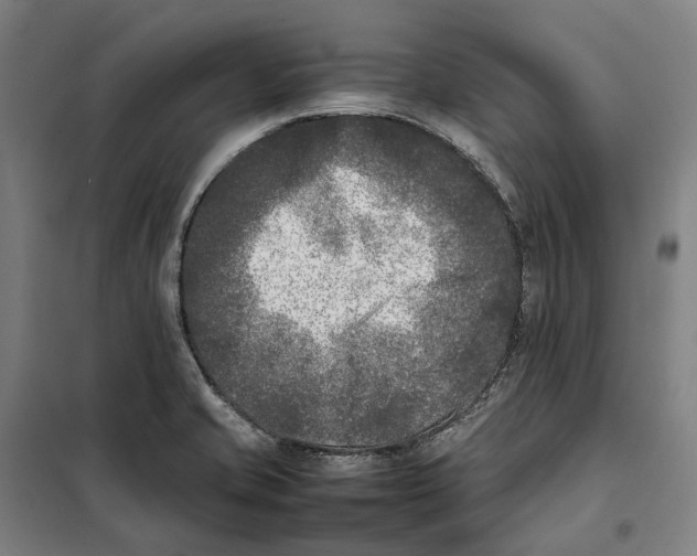 X0000101221421200807251101