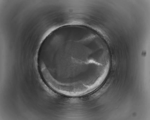 X0000101221422200807251101