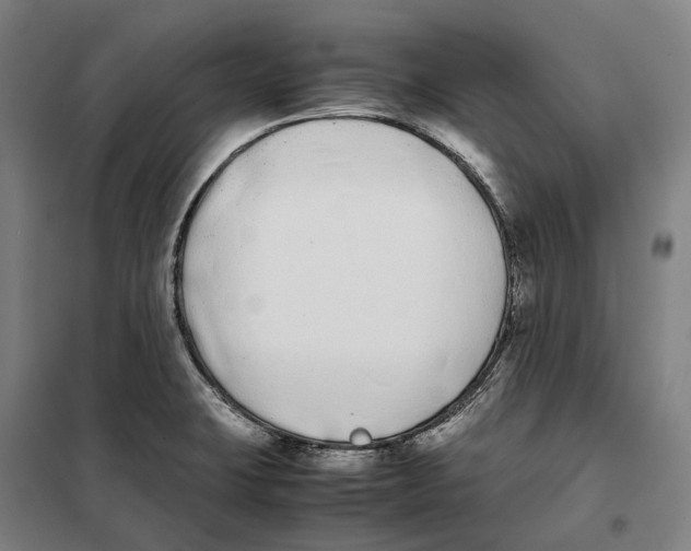 X0000101221423200807251101