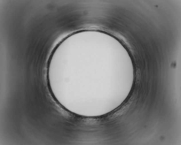 X0000101221424200807251101