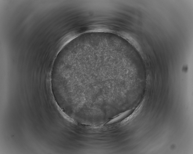 X0000101221425200807251101