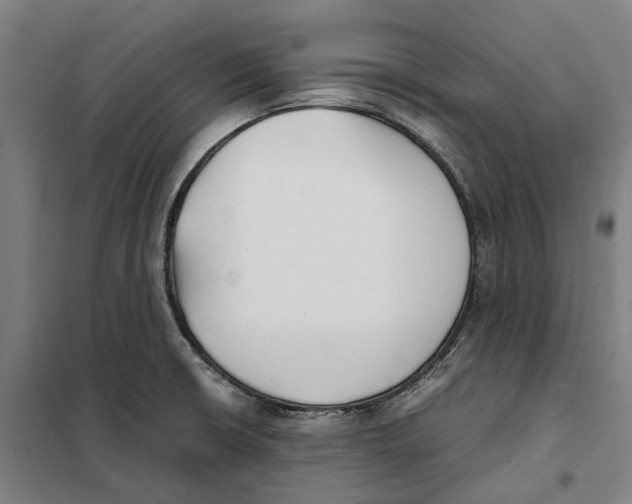 X0000101221426200807251101