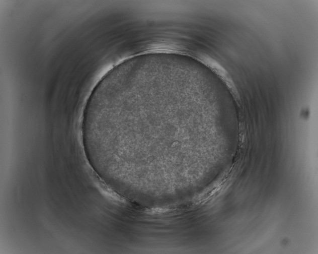X0000101221427200807251101