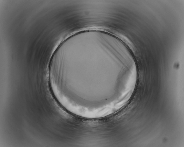 X0000101221428200807251101