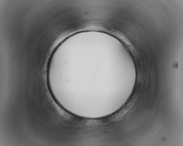 X0000101221430200807251101