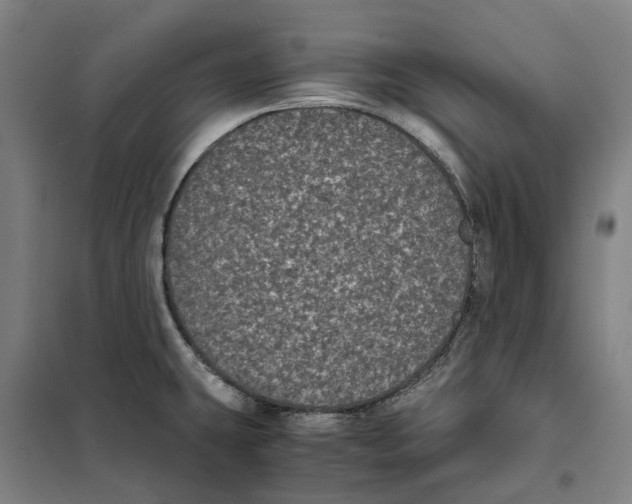 X0000101221431200807251101