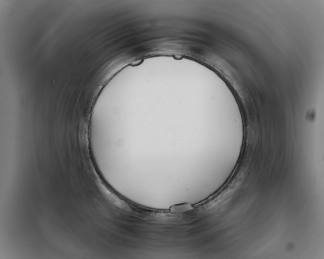 X0000101221433200807251101