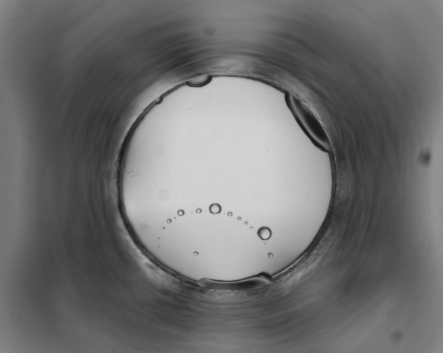 X0000101221434200807251101