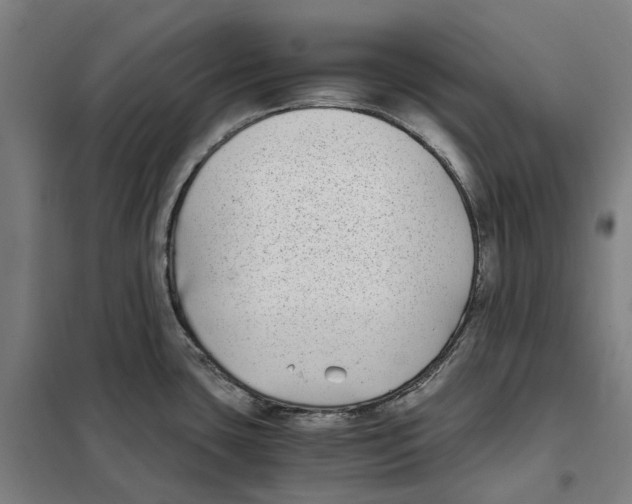X0000101221435200807251101