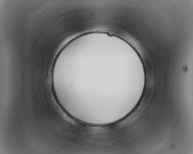 X0000101221436200807251101