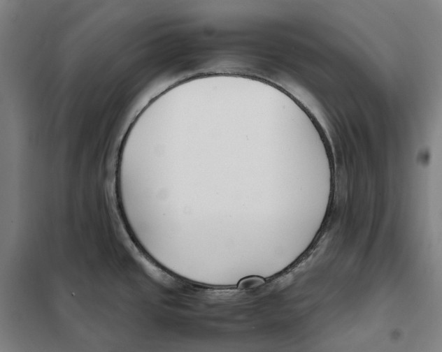 X0000101221437200807251101