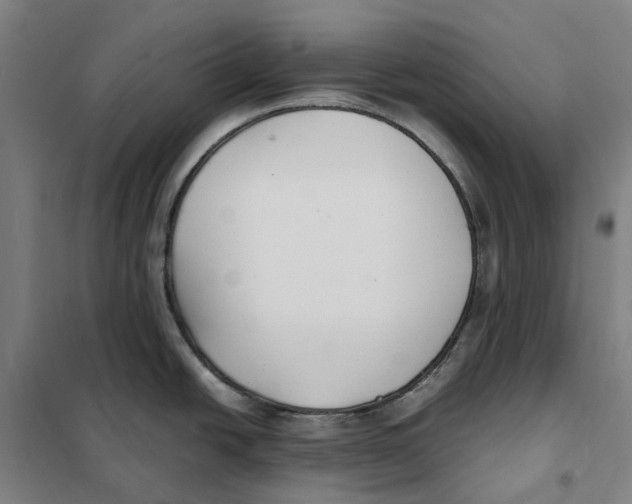 X0000101221438200807251101