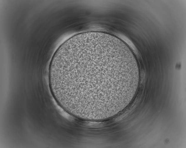 X0000101221439200807251101