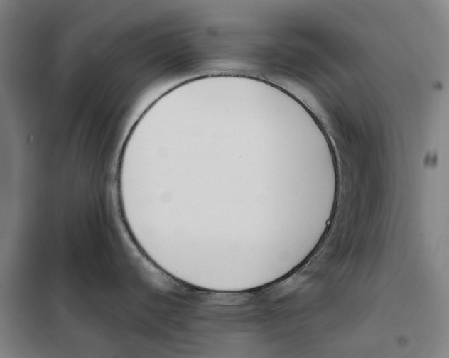 X0000101221440200807251101