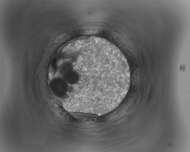 X0000101221441200807251101