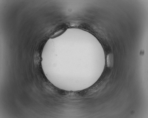 X0000101221443200807251101