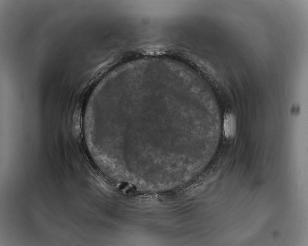X0000101221444200807251101