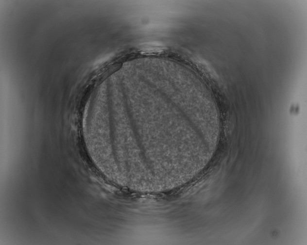 X0000101221445200807251101