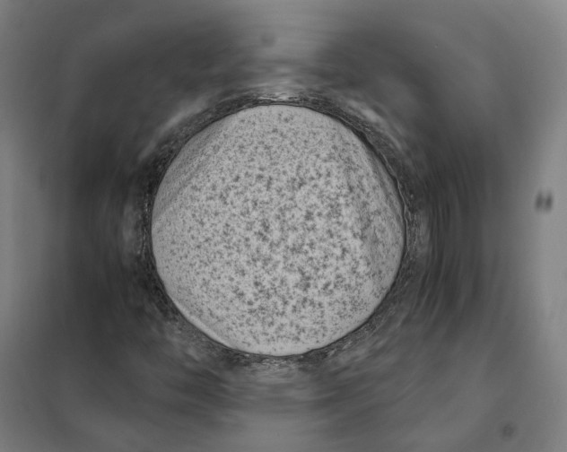 X0000101221446200807251101