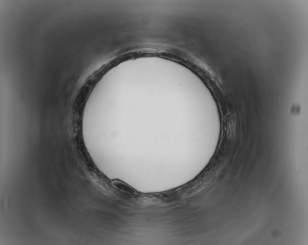 X0000101221448200807251101