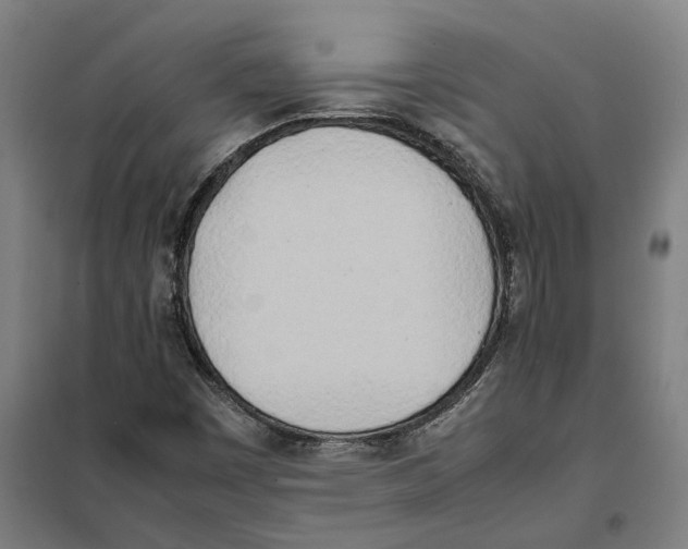 X0000101221449200807251101