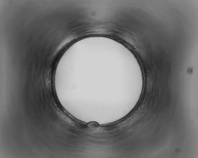 X0000101221450200807251101