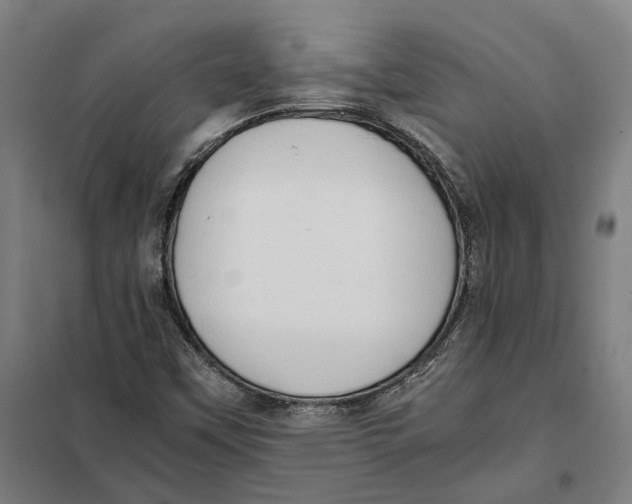 X0000101221451200807251101