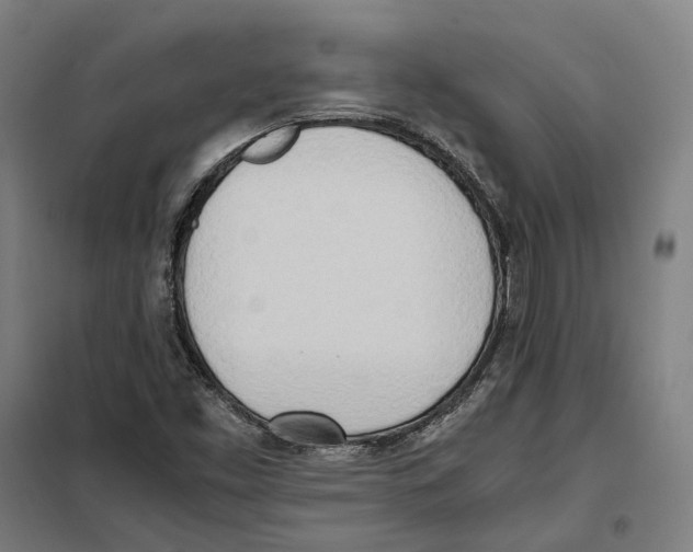 X0000101221453200807251101