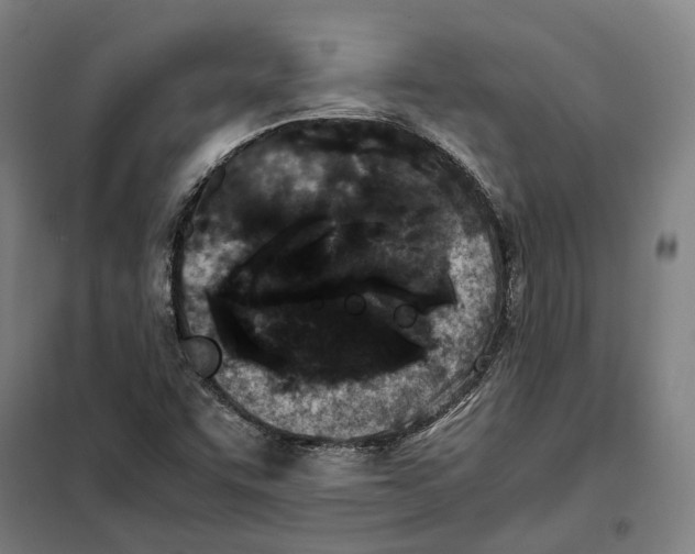 X0000101221455200807251101