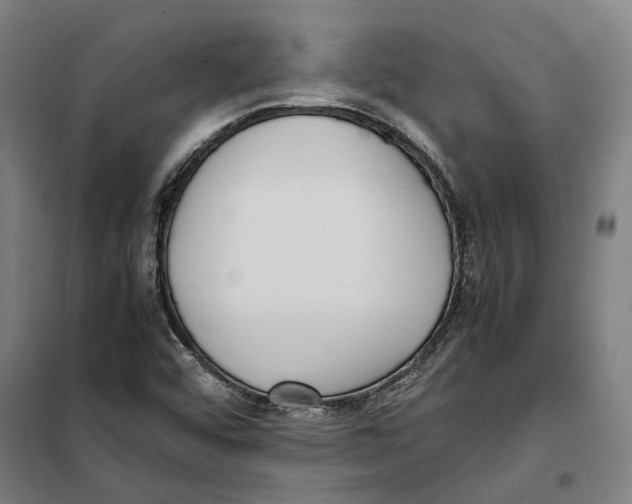 X0000101221456200807251100