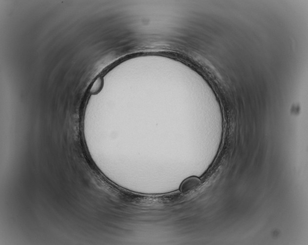 X0000101221457200807251100