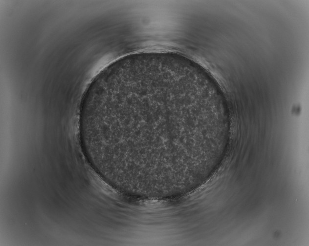 X0000101221459200807251100