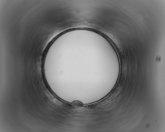 X0000101221460200807251100