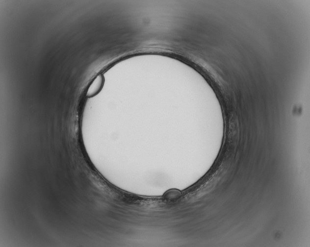 X0000101221461200807251100