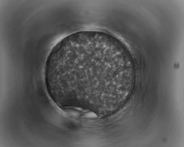 X0000101221463200807251100