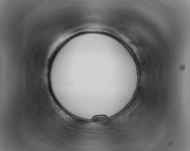 X0000101221464200807251100