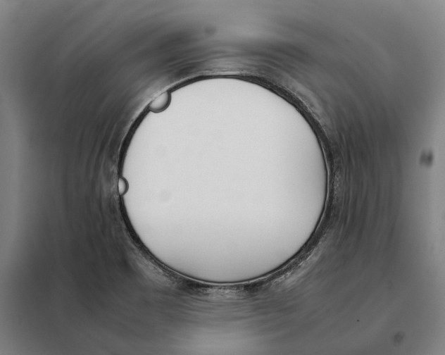X0000101221465200807251100