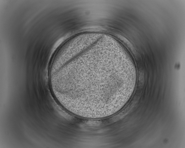 X0000101221466200807251100