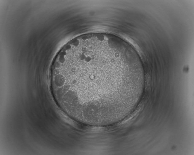 X0000101221467200807251100
