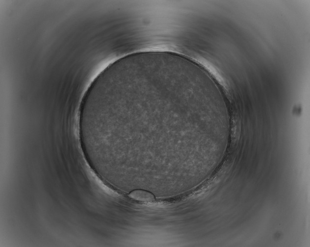 X0000101221468200807251100