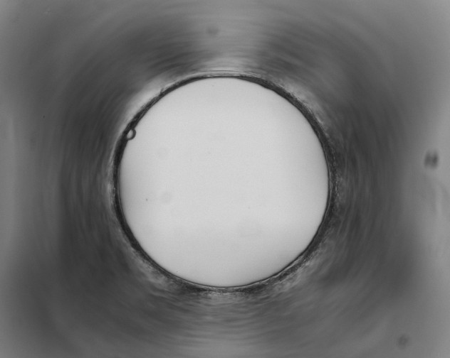 X0000101221469200807251100