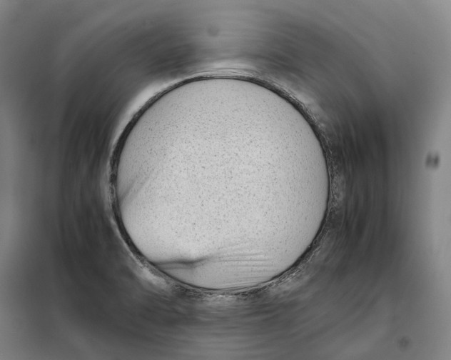 X0000101221470200807251100