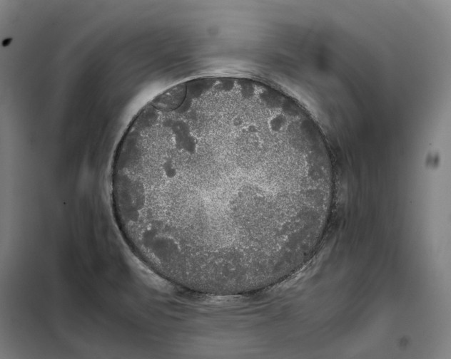 X0000101221471200807251100