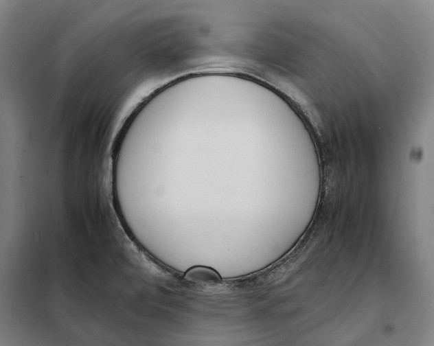 X0000101221472200807251100